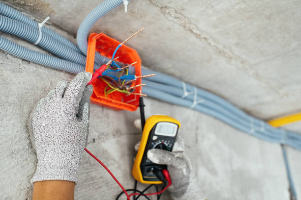 Best Ceiling Fan Installation Electrician  in Eldora, IA
